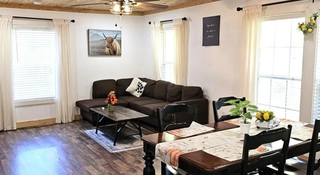Modern Style Peaceful Tranquility Pet Friendly