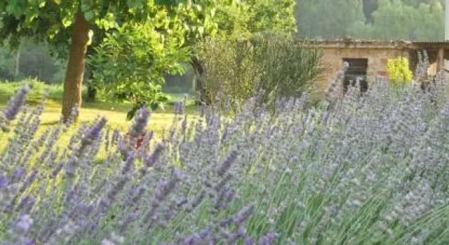 B&B Mulino Barchio, Book Bed and Breakfast  