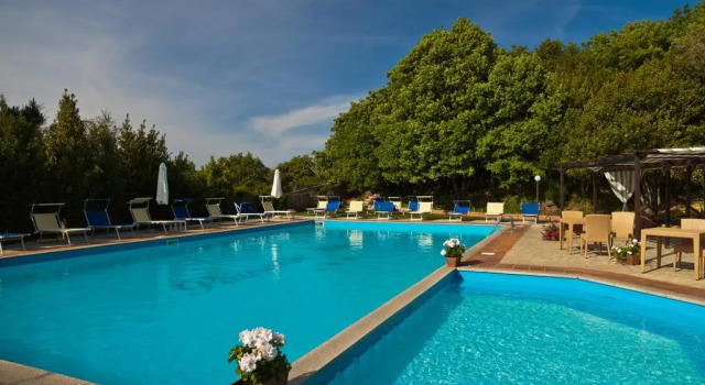 Кровать в общем номере Pausania Inn