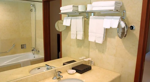 Deluxe cameră cu vedere la munte Sejong Hotel