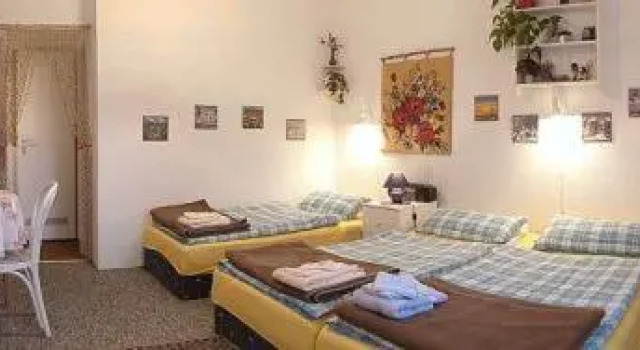 Номер Standard Lakeside Bed and Breakfast Berlin - Pension Am See