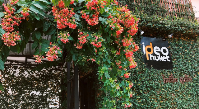 Ideo Phuket Hotel