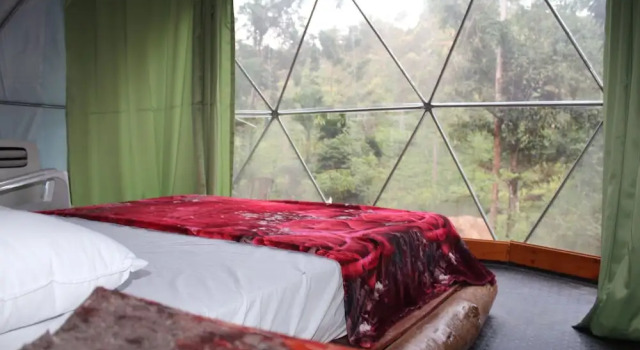 Ella Eco Domes