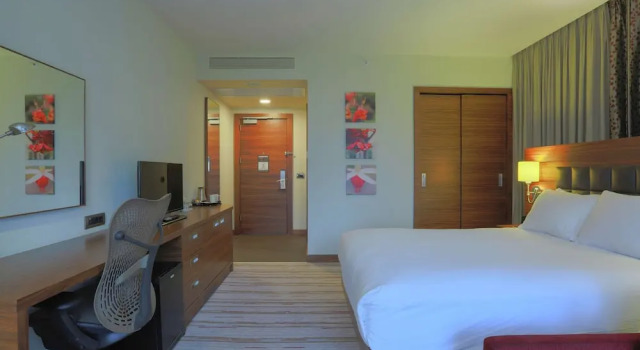 Двухместный семейный номер Hilton Garden Inn Eskisehir