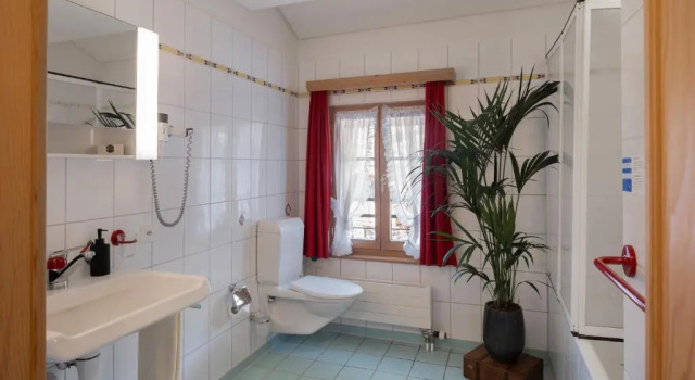 Двухместный номер Deluxe Hôtel de Commune - Rougemont
