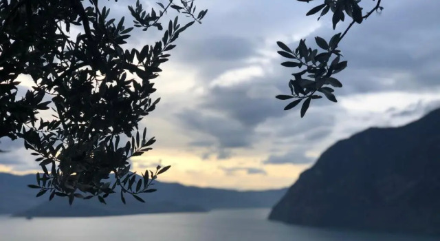 Апартаменты Appartamento con vista sul lago di Iseo e piscina