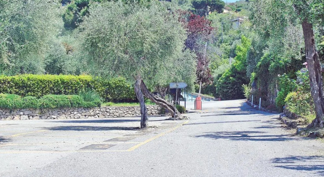 Апартаменты Piana degli Ulivi a Lerici
