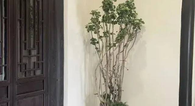 Tangqi Home Siheyuan (Hangzhou Tangqi Ancient Town Store)