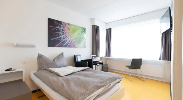 Номер Standard Hotel Allegro Einsiedeln