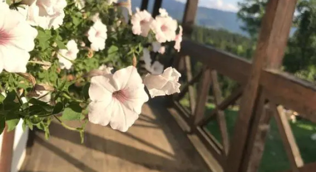 Blyzhche Neba, Rezervovat Hotel Jablonitsa 