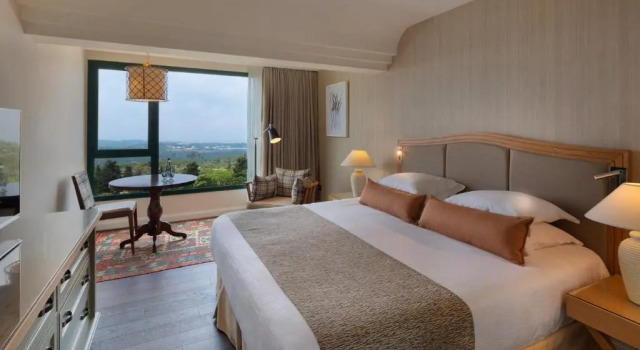Номер Deluxe Carmel Forest by Isrotel Exclusive