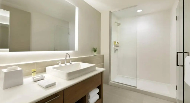 Двухместный номер Standard с видом на бассейн Element by Marriott Dallas Love Field