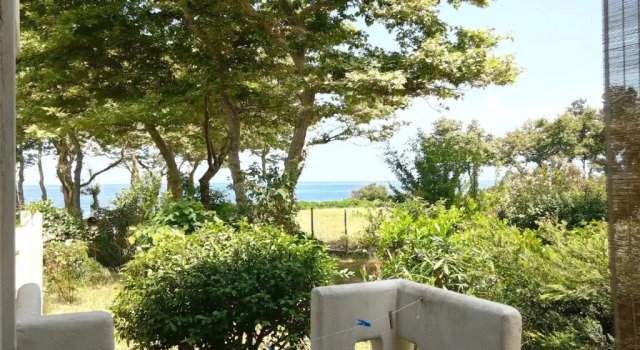 Студия Archondissa Beach Aparthotel