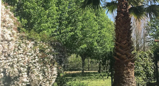 Номер Standard Hostal Pension Artilleiro