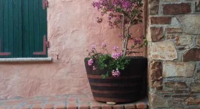 Bed & Breakfast "Le Ginestre"