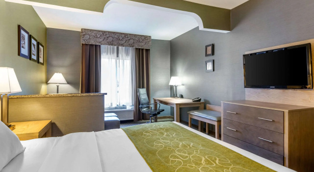 Двухместный люкс Comfort Suites Southgate-Detroit
