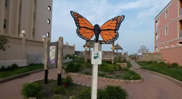 Steps To The Beach/Pet Friendly