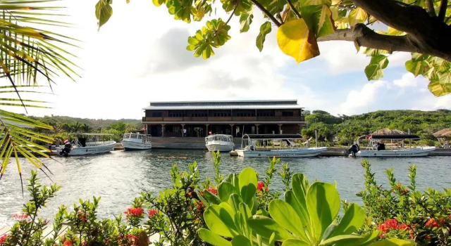 Люкс Barefoot Cay Resort