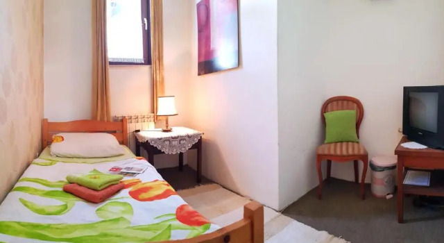 Одноместный номер Standard Hostel Pansion Lion