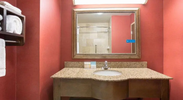 Двухместный номер Premier Hampton Inn Siloam Springs
