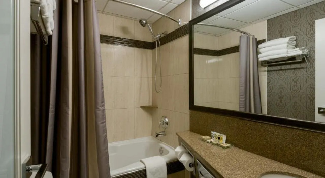 Номер Premium Carriage House Hotel and Conference Centre