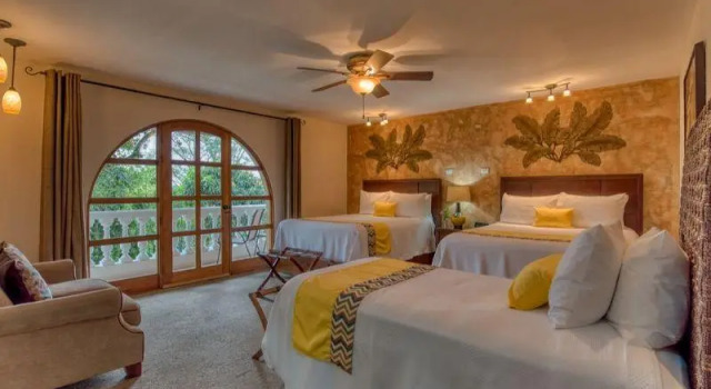 Buena Vista Chic Hotel