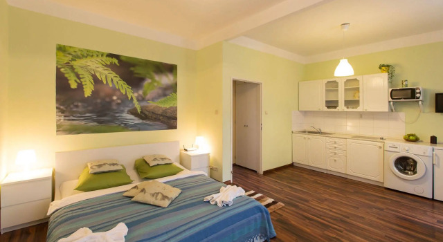 Apartment for Friends