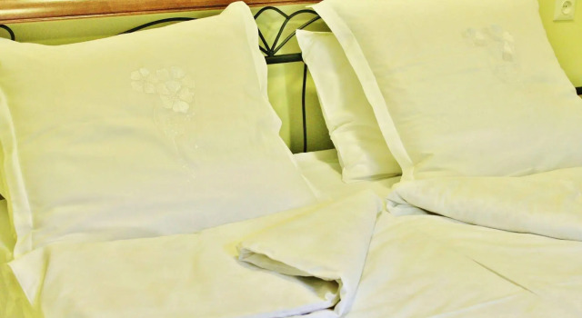 Гостиница Red Fox Guesthouse