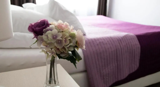 Полулюкс Art Hotel