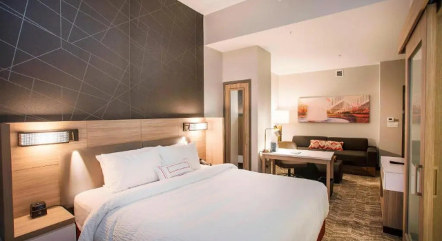 Люкс Springhill Suites By Marriott Athens Downtown/University Area