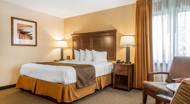 Номер The Black Swan Lee - Lenox, an Ascend Collection Hotel