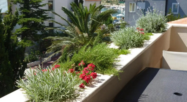 Апартаменты Apartments Elda