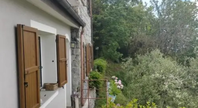 The House In The Green