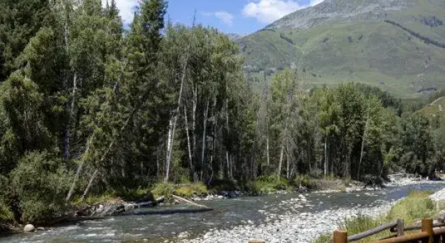 HeMu xinfuyuanzi