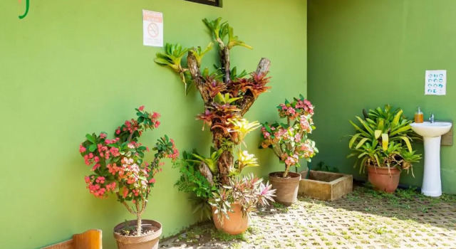 Номер Standard Jacamar Corcovado Drake Bay