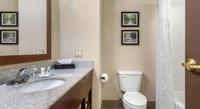 Четырёхместный номер Standard Comfort Inn & Suites Heath - Newark South
