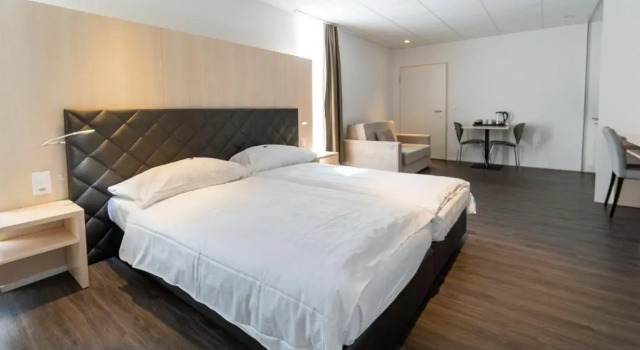 Апартаменты Superior Los Lorentes Apartments Bern Airport