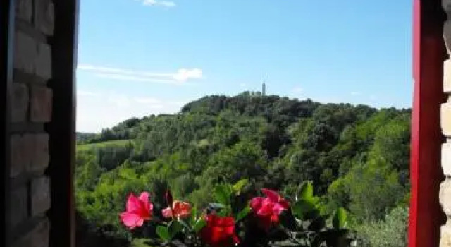 Agriturismo Althea