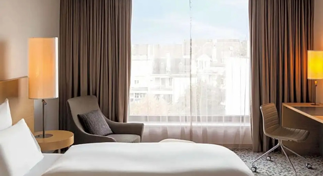 Двухместный номер Deluxe Pullman Basel Europe
