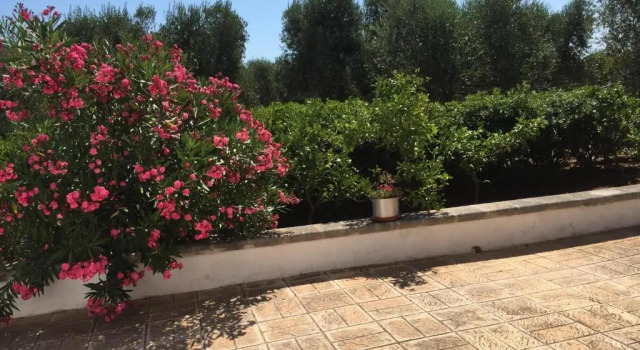Коттедж с 3 комнатами Trullo La Quercia