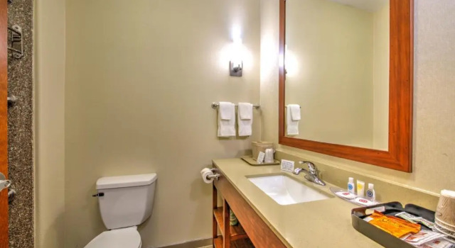 Четырёхместный люкс Comfort Suites Tomball Medical Center