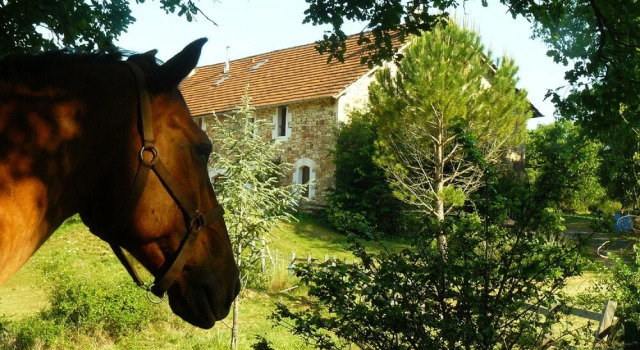Chambres d'hotes Les Moynes, Book Hotel Saint-Simon Languedoc-Roussillon