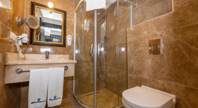 Двухместный номер Standard с балконом Blueberry Boutique Hotel