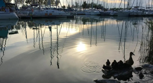 Апартаменты Lido Riviera Relux Apartman Balatonlelle