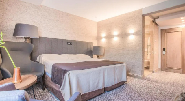Двухместный номер Deluxe Alpin Resort Hotel
