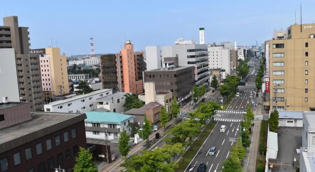 Одноместный номер Standard Hotel Pearl City Akita Kanto-Odori