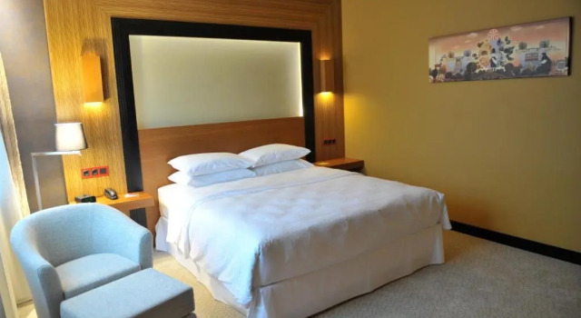 Двухместный номер Standard Four Points by Sheraton Kecskemet Hotel and Conference Center