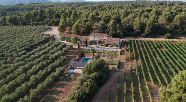 Номер Standard Domaine de Villemus