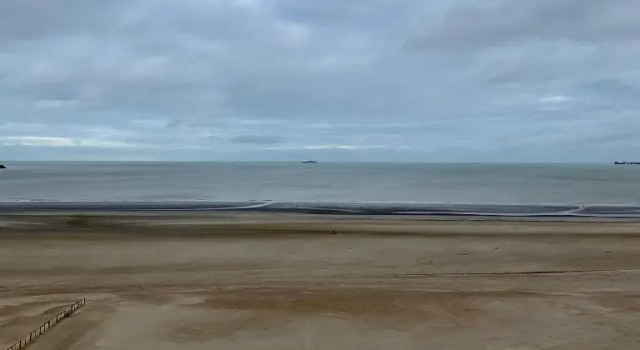 Sea and Dunes