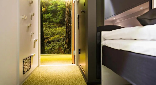 Одноместный номер Standard Comfort Hotel City